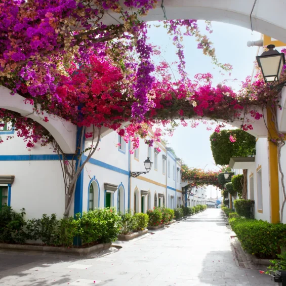 gran-canaria-6